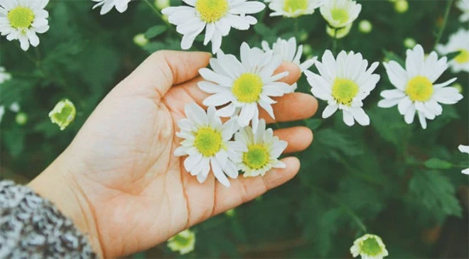 Mọi thứ rồi cũng sẽ qua – Kho truyện cổ tích