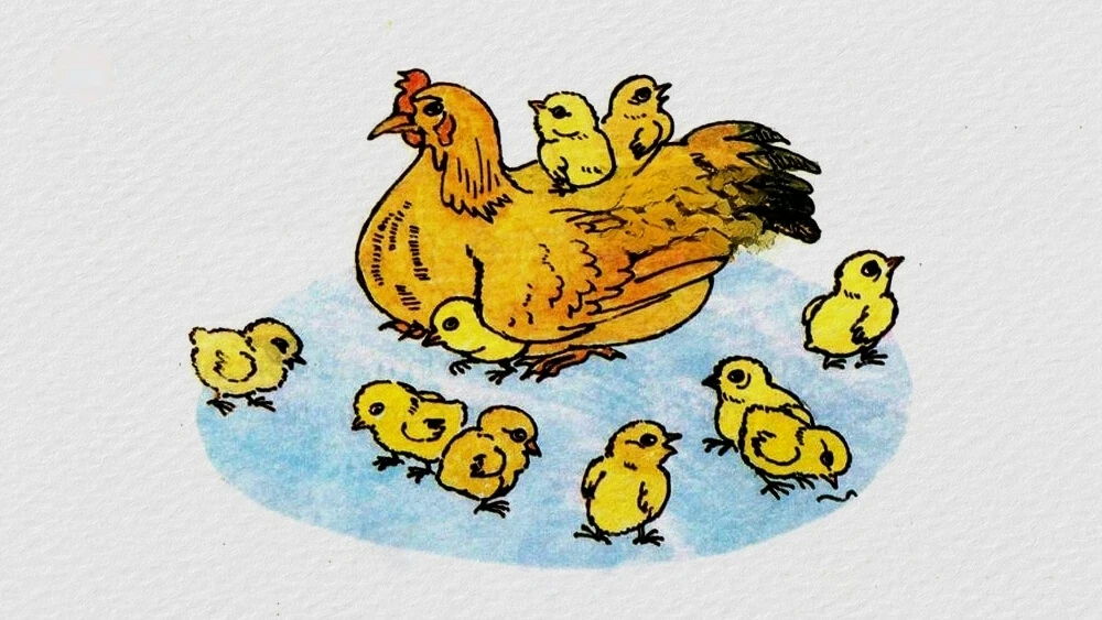 Một câu trả lời – Kho truyện cổ tích | Đọc và nghe truyện cổ tích miễn phí