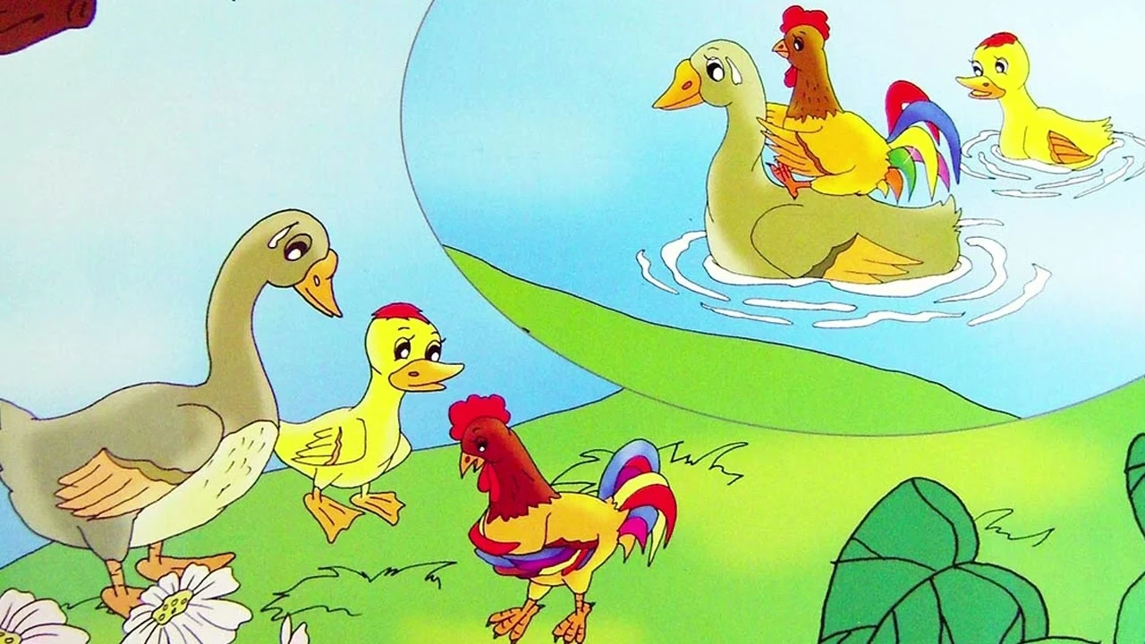 Nghe kể chuyện thiếu nhi - Đứa con của mẹ vịt bầu