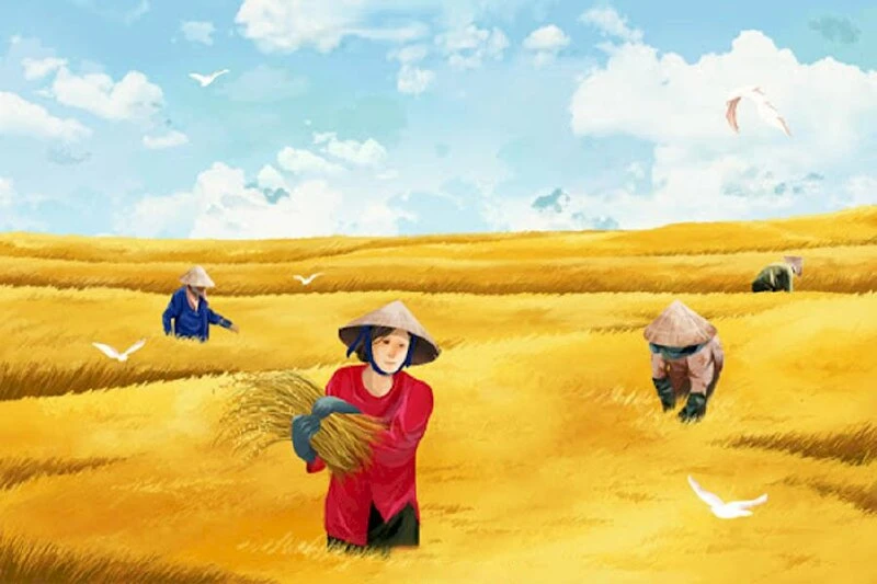 Đốt cháy đồng lúa chín – Kho truyện cổ tích