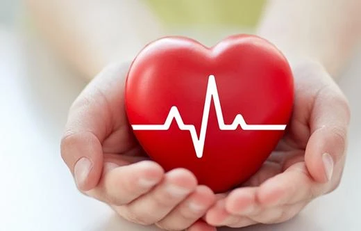 Quà tặng từ trái tim – Kho truyện cổ tích