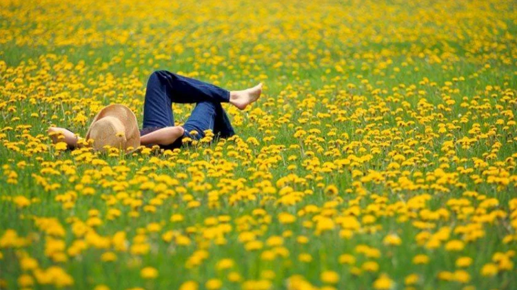 Sẽ luôn tìm được cách – Kho truyện cổ tích