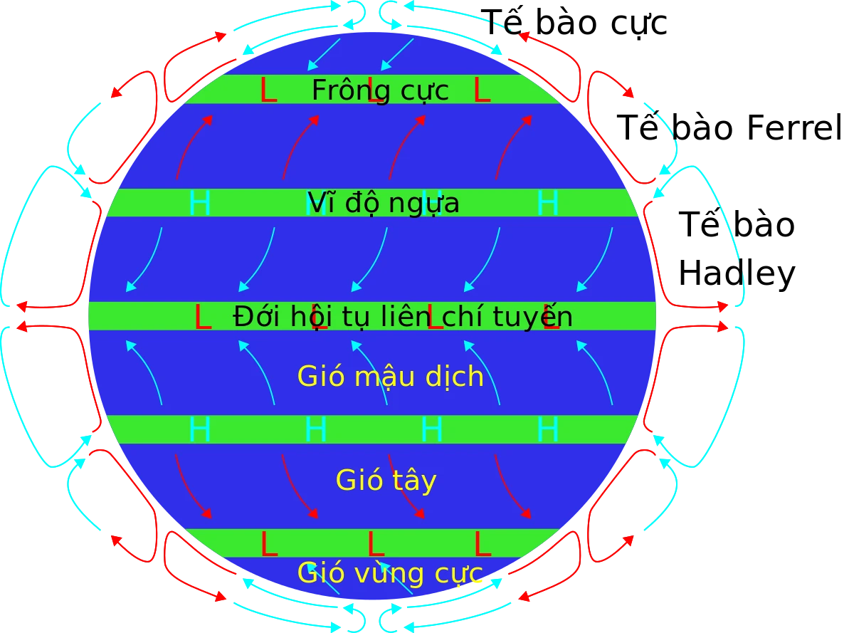 Tại sao gọi là vĩ độ ngựa? – Kho truyện cổ tích