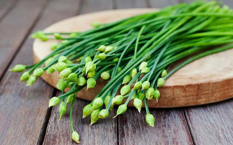 Tại sao rau hẹ cắt xong vẫn có thể tái sinh trưởng?