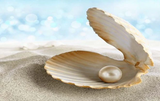 Tại sao trong trai, sò có ngọc? – Kho truyện cổ tích