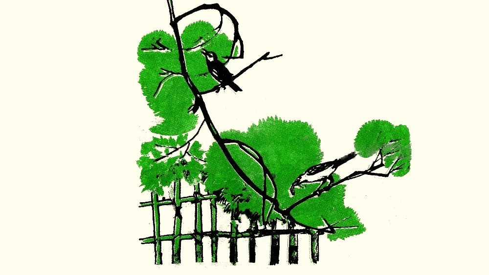 Thi nhạc – Kho truyện cổ tích | Đọc và nghe truyện cổ tích miễn phí