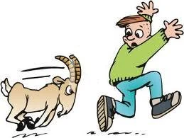 Tôi muốn húc – Kho truyện cổ tích | Đọc và nghe truyện cổ tích miễn phí