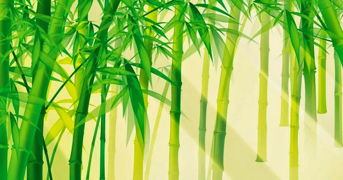 Tre Việt Nam – Kho truyện cổ tích | Đọc và nghe truyện cổ tích miễn phí