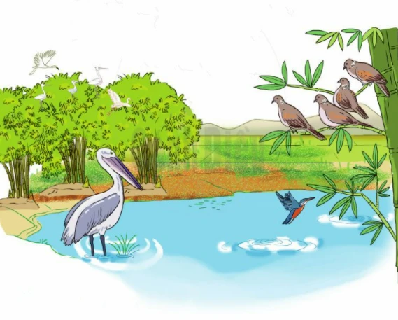 Trò chuyện với loài chim – Kho truyện cổ tích
