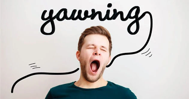 Vì sao khi người mệt mỏi lại hay ngáp dài?