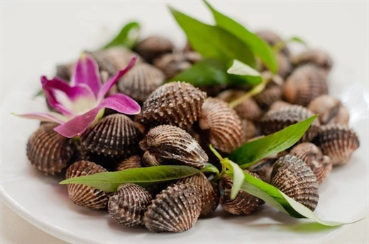 Vì sao không nên ăn sò? – Kho truyện cổ tích