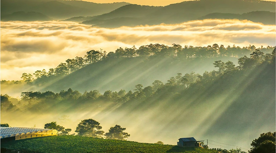 Vì sao lại có sương mù? – Kho truyện cổ tích