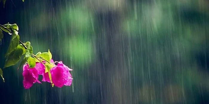 Vì sao trước cơn mưa rào trời rất oi bức?